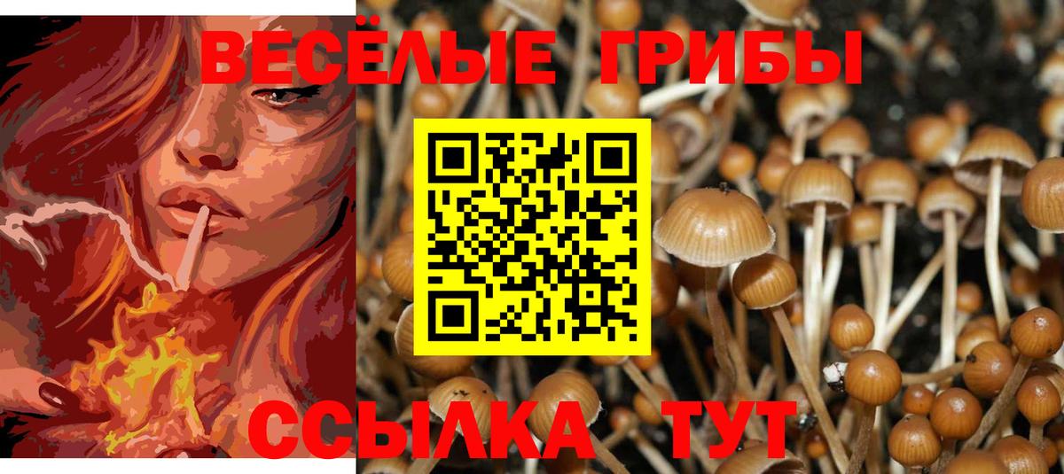 Гуково  Галлюциногенные грибы Psilocybe  Вход с VPN  Псилоцибиновые грибы мицелий 